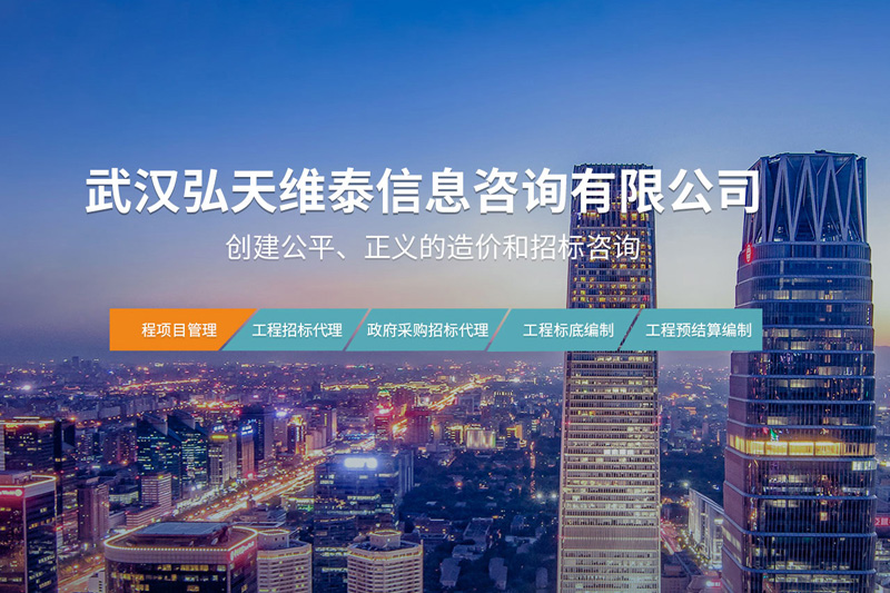 武汉弘天维泰信息咨询有限公司